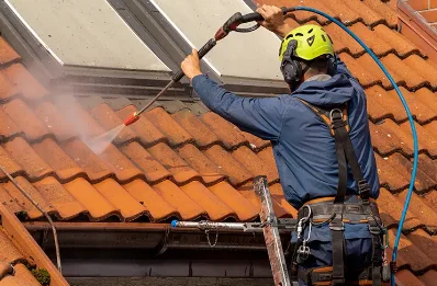 Démoussage et hydrofuge de toiture au Bonhomme